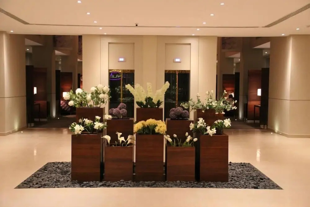 Foto - Rafa - Al Nuzhah