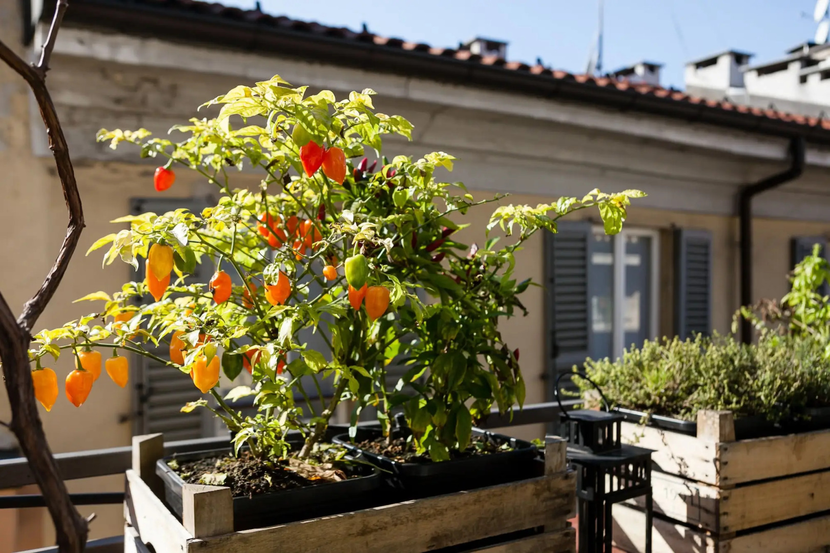 Photo - Ostello Bello Milano Duomo