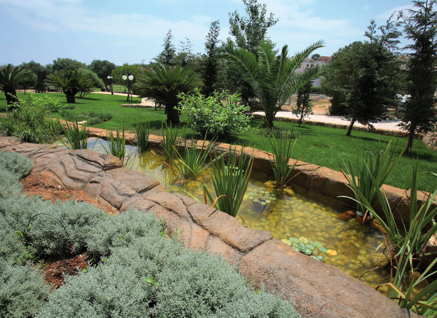 Photo - Seth Punta Prima