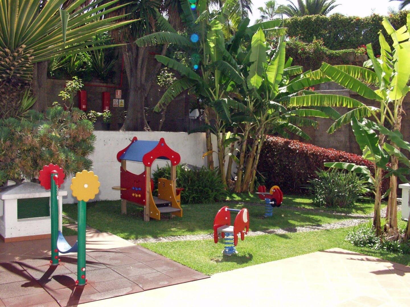 Photo - FERGUS Puerto de la Cruz