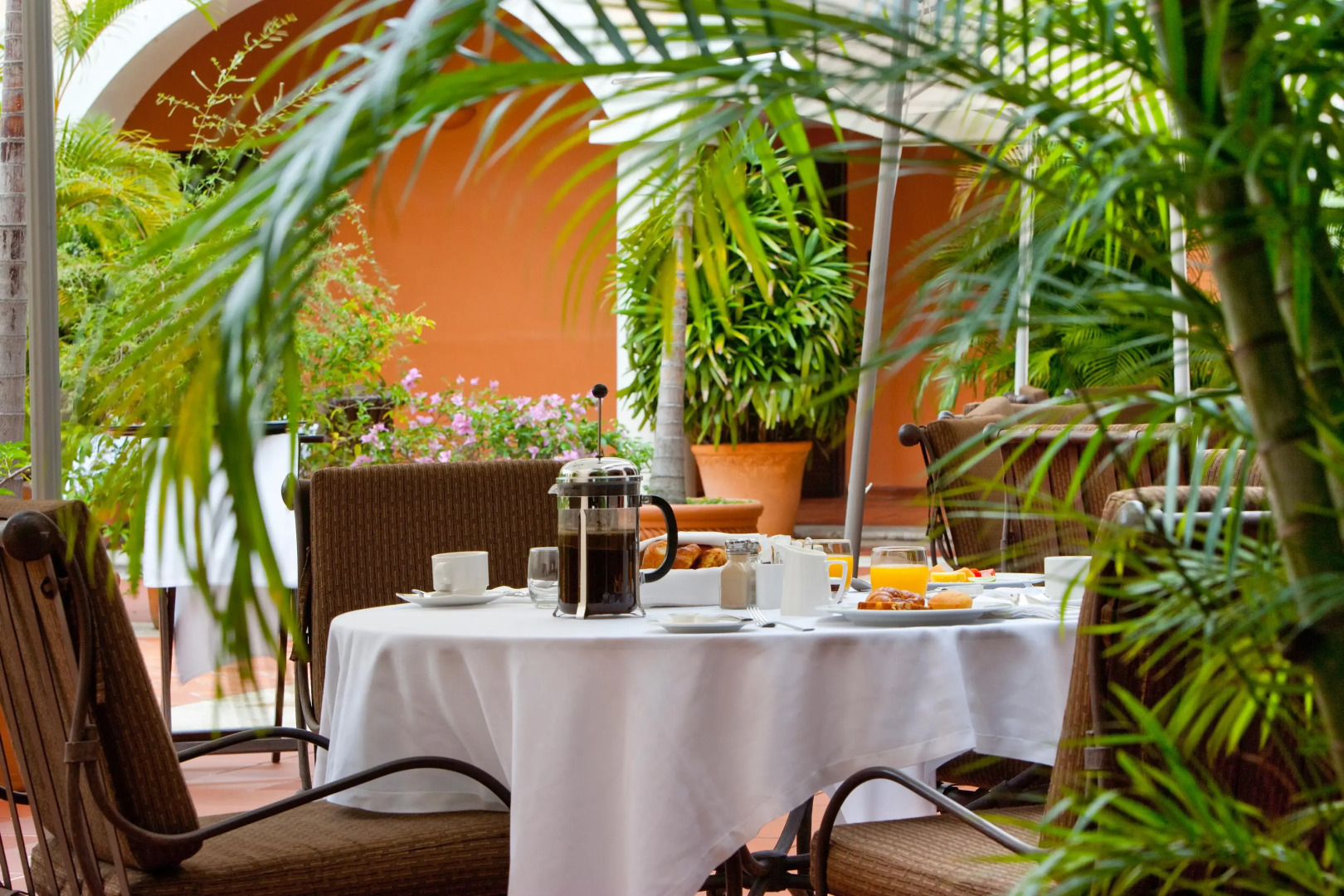 Foto - Hodelpa Nicolás de Ovando