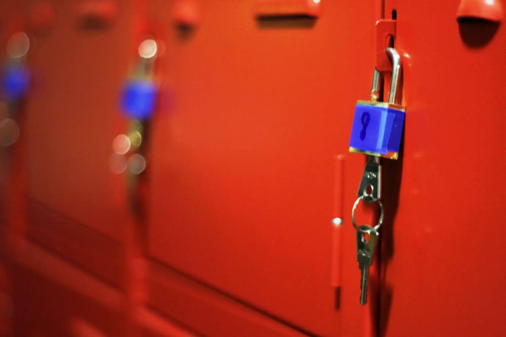 Foto - Pup Hostel SC