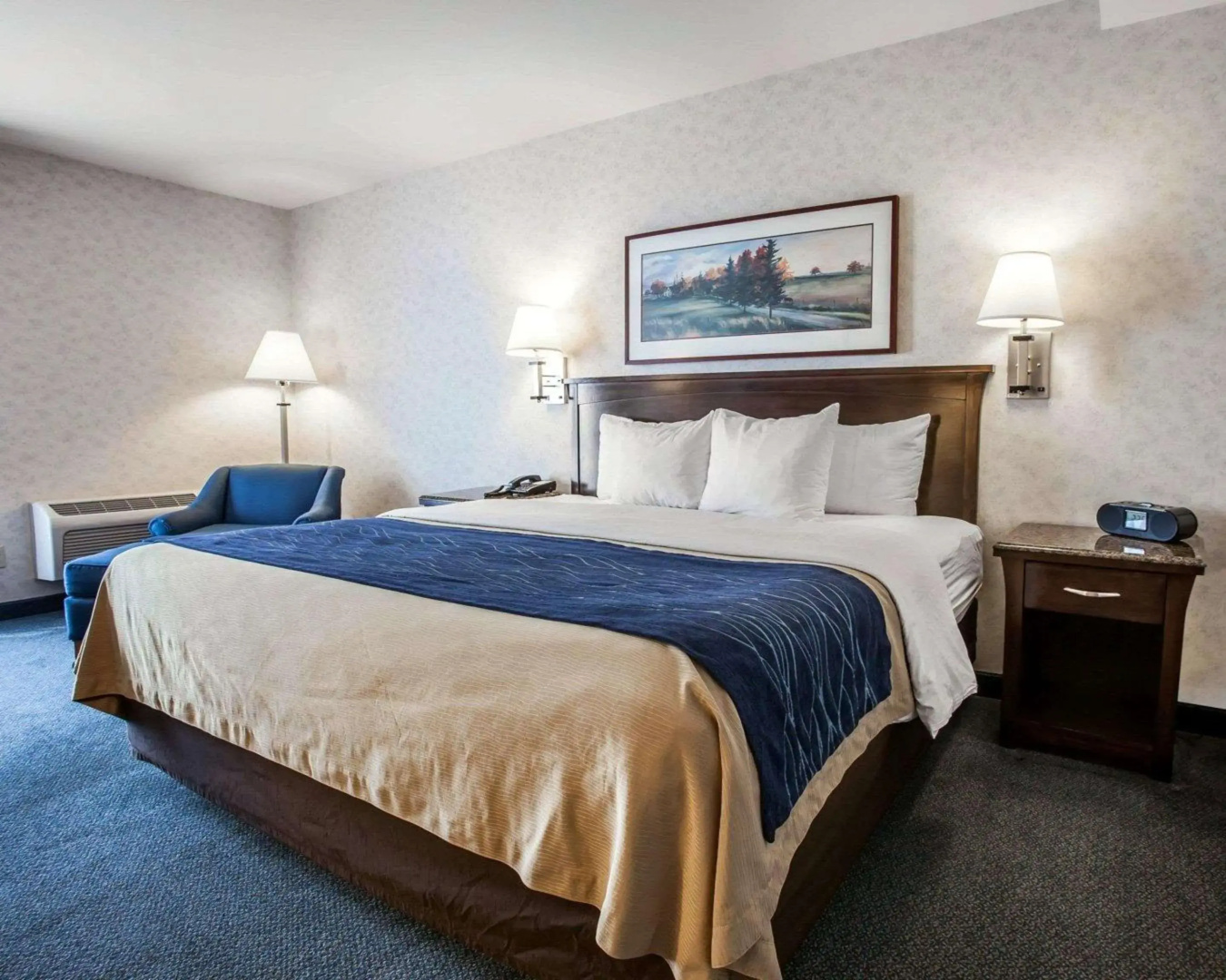 Photo - Comfort Inn Bellingham