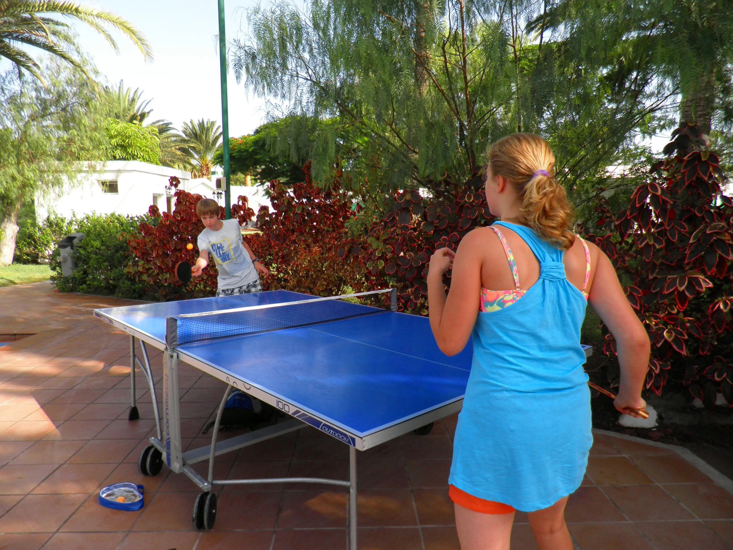 Foto - Canary Garden Club