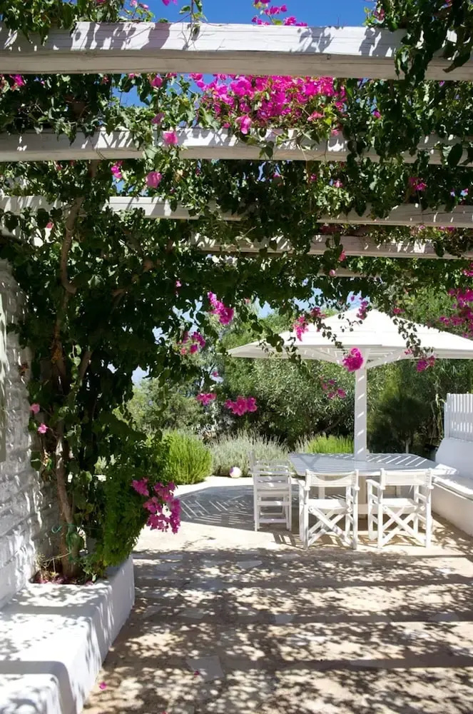 Photo - Villa Joy in Ampelas Paros