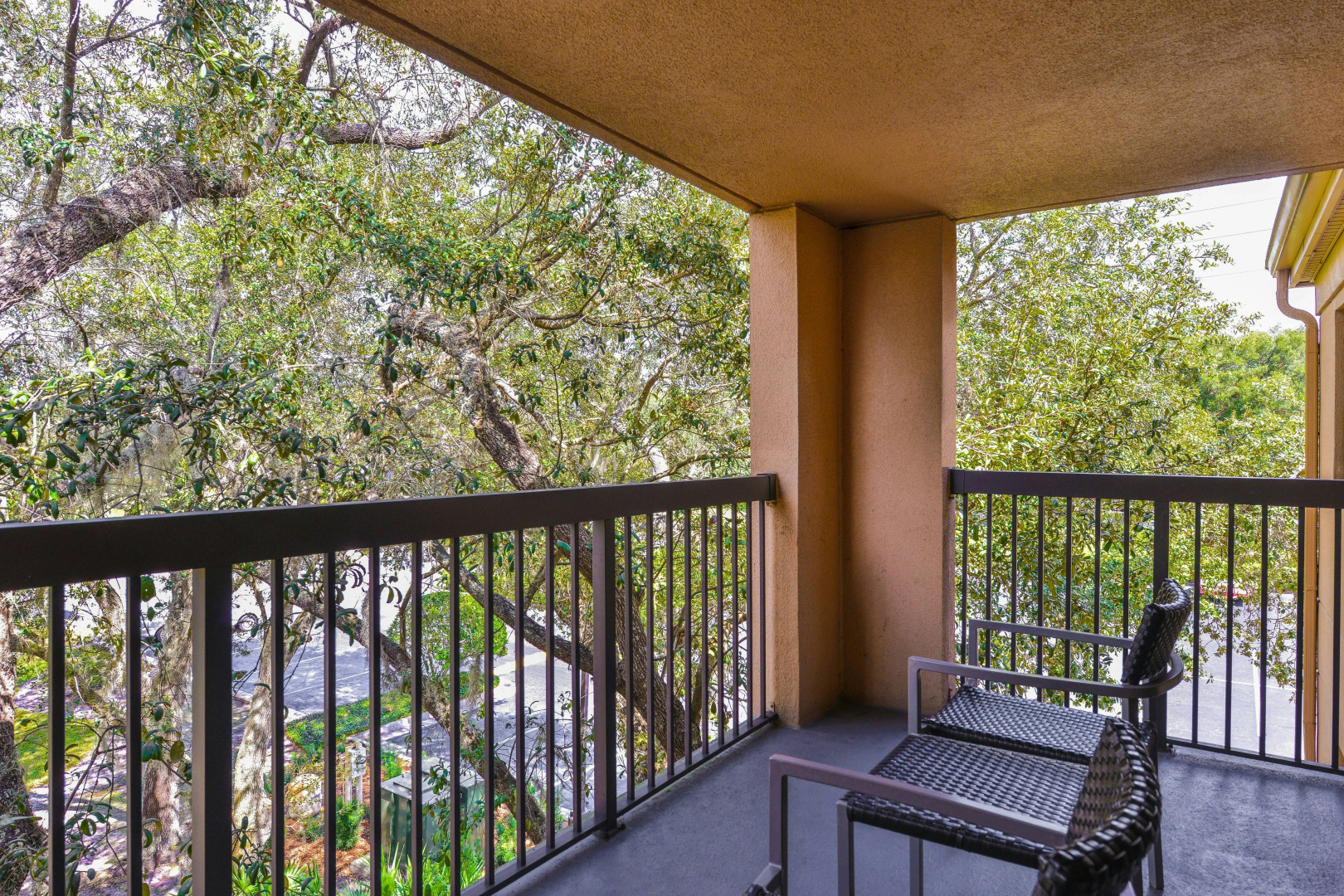 Photo - Courtyard by Marriott Tampa North/I-75 Fletcher