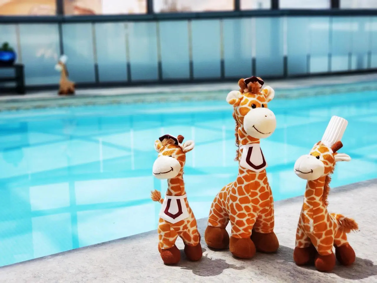 Photo - Hotel Marquis Reforma