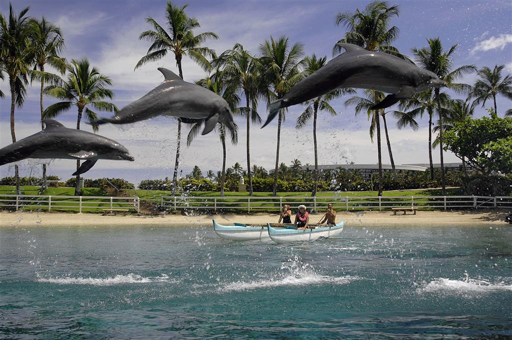 Foto - Hilton Grand Vacations Club Ocean Tower Waikoloa Village