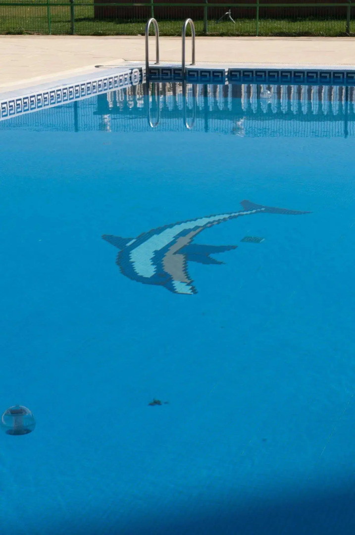 Photo - ARVA Santiago León