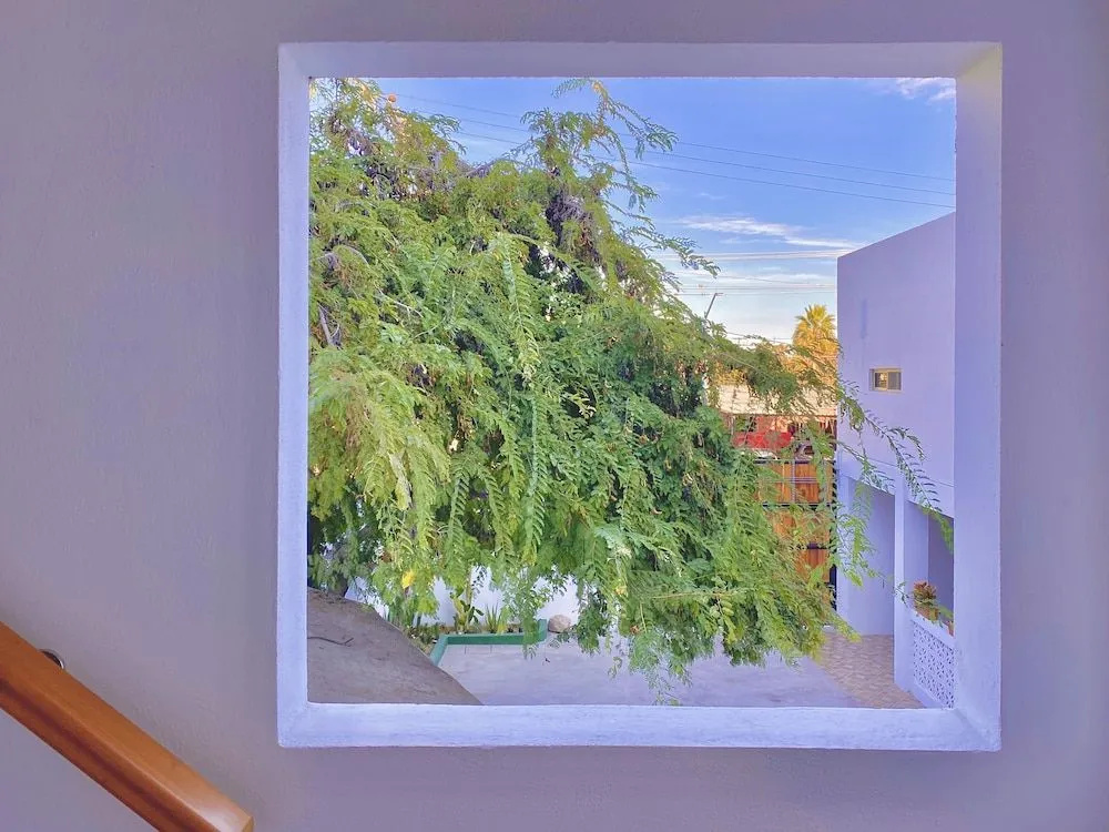 Photo - Casa Palo Verde