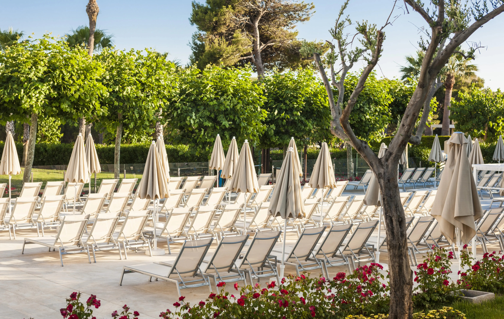 Foto - Globales Mediterrani