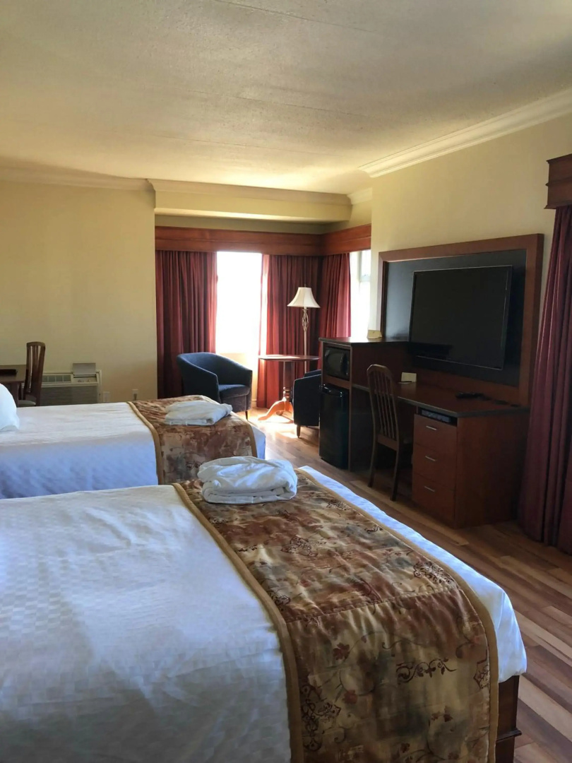 Foto - Hotel L'Oie des neiges