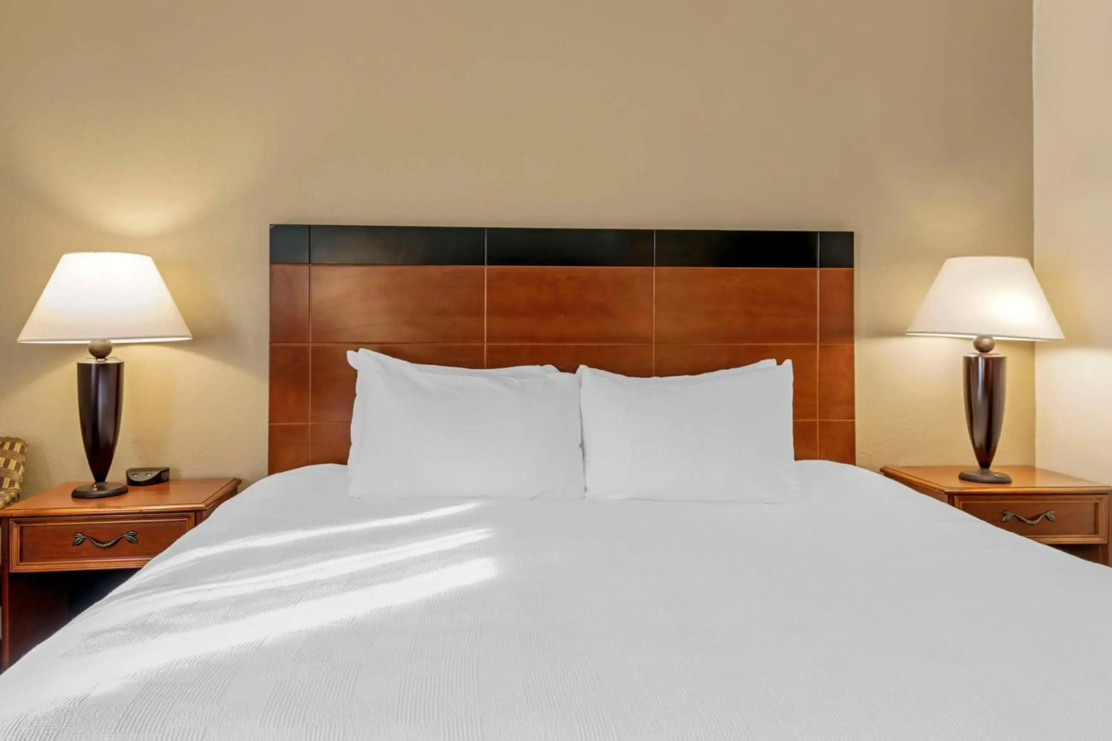 Photo - Red Roof Inn PLUS+ Washington DC - Alexandria