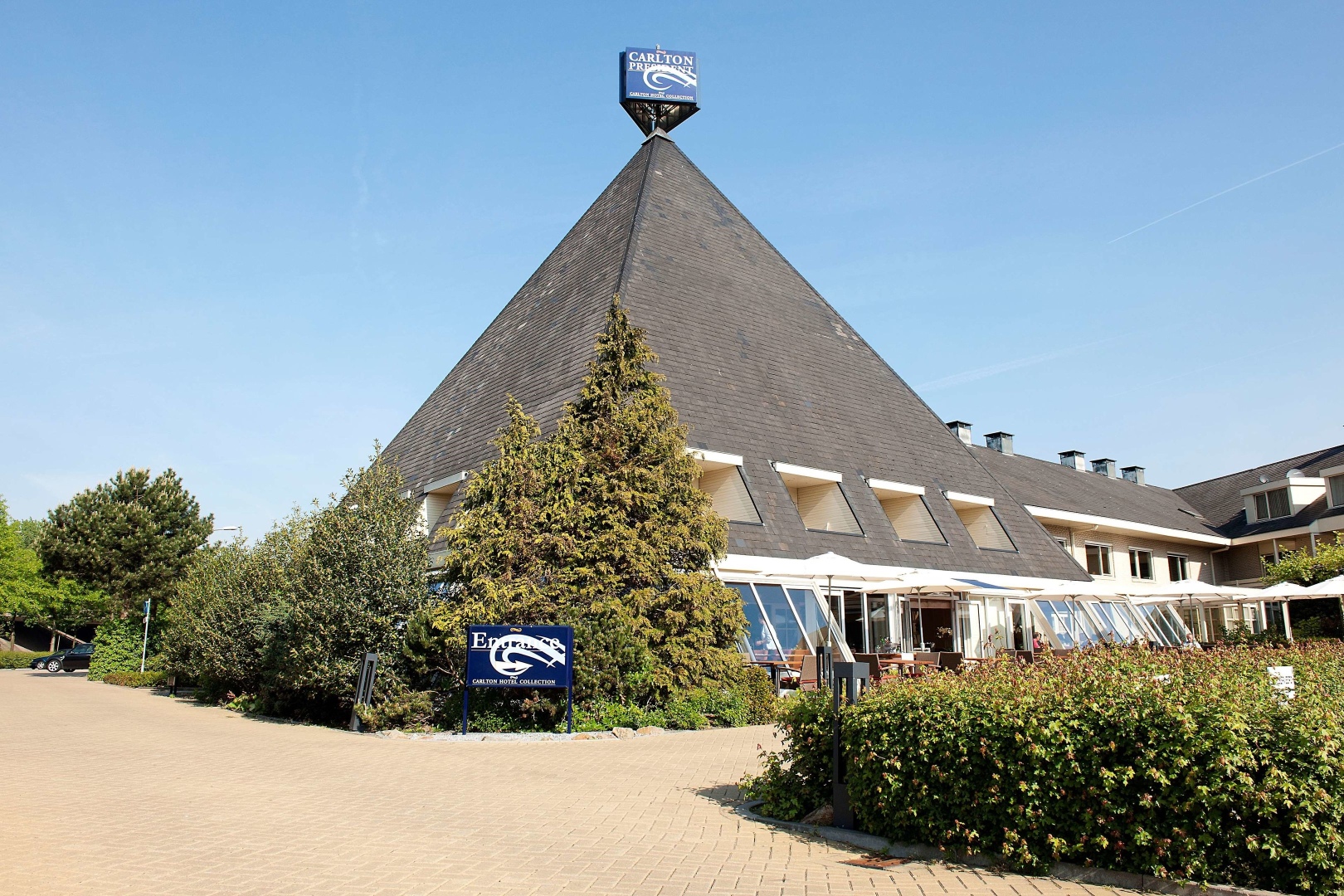 Photo - Carlton President