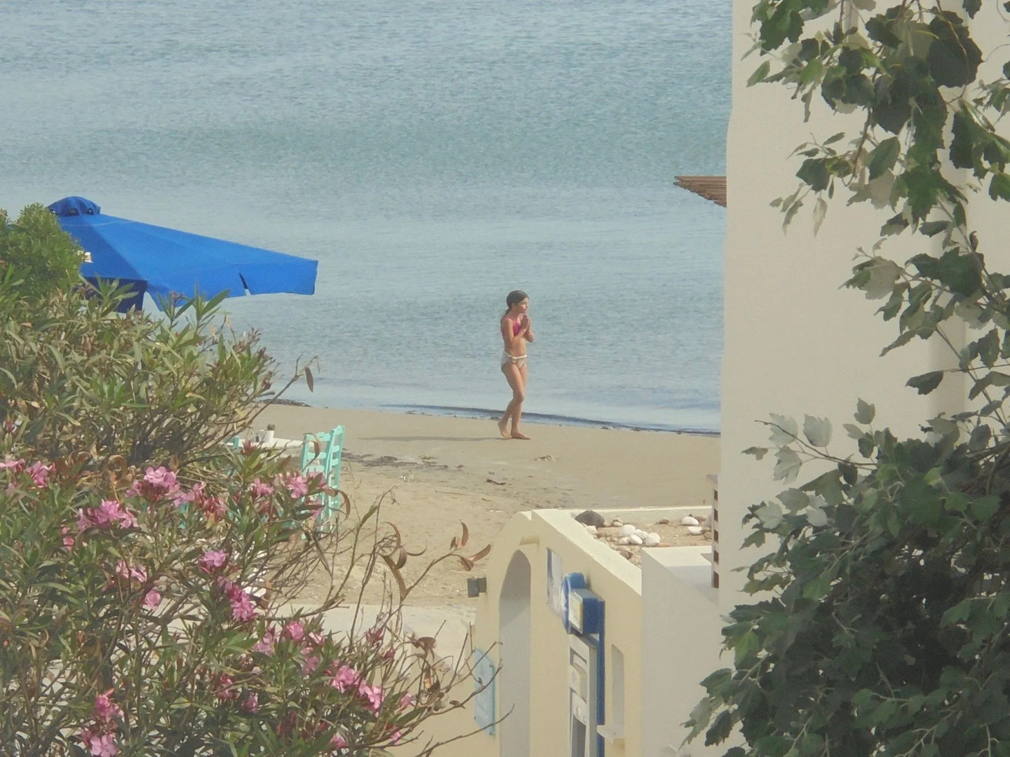 Photo - Georgia Mare