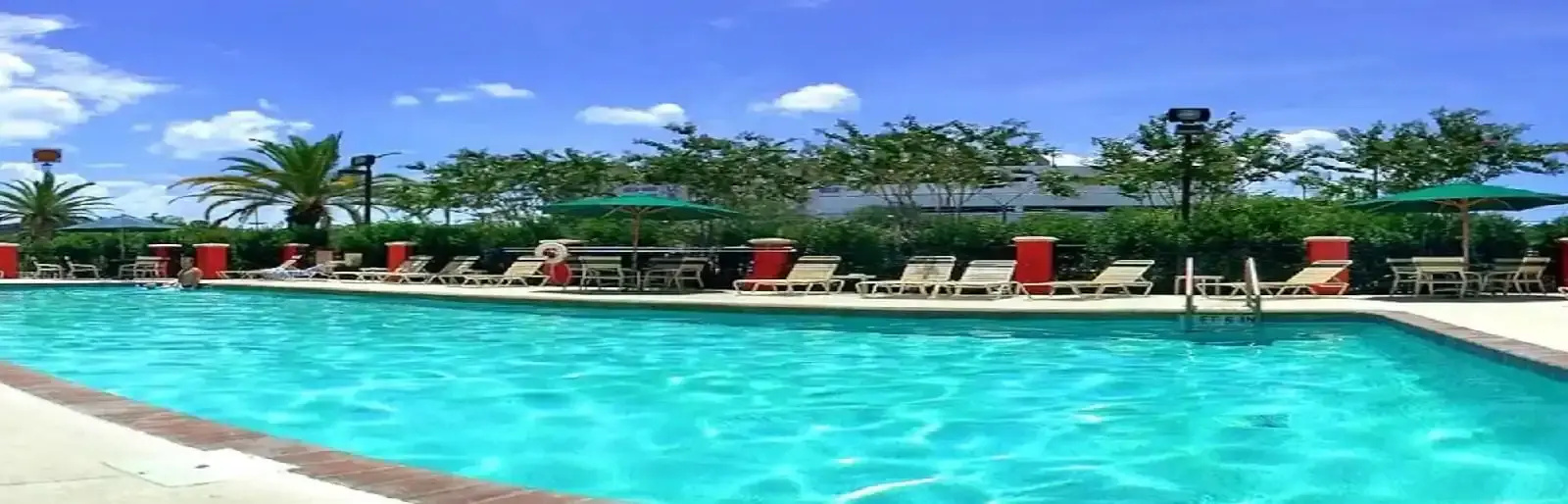 Foto - SpringHill Suites by Marriott Tampa Westshore Airport