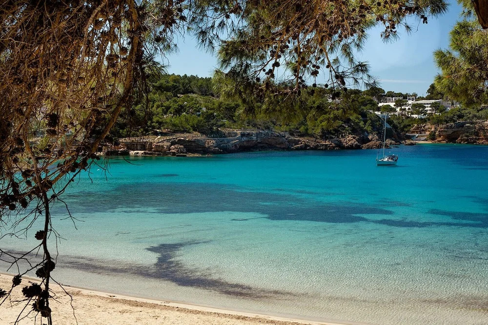 Foto - Hostal La Cigüeña