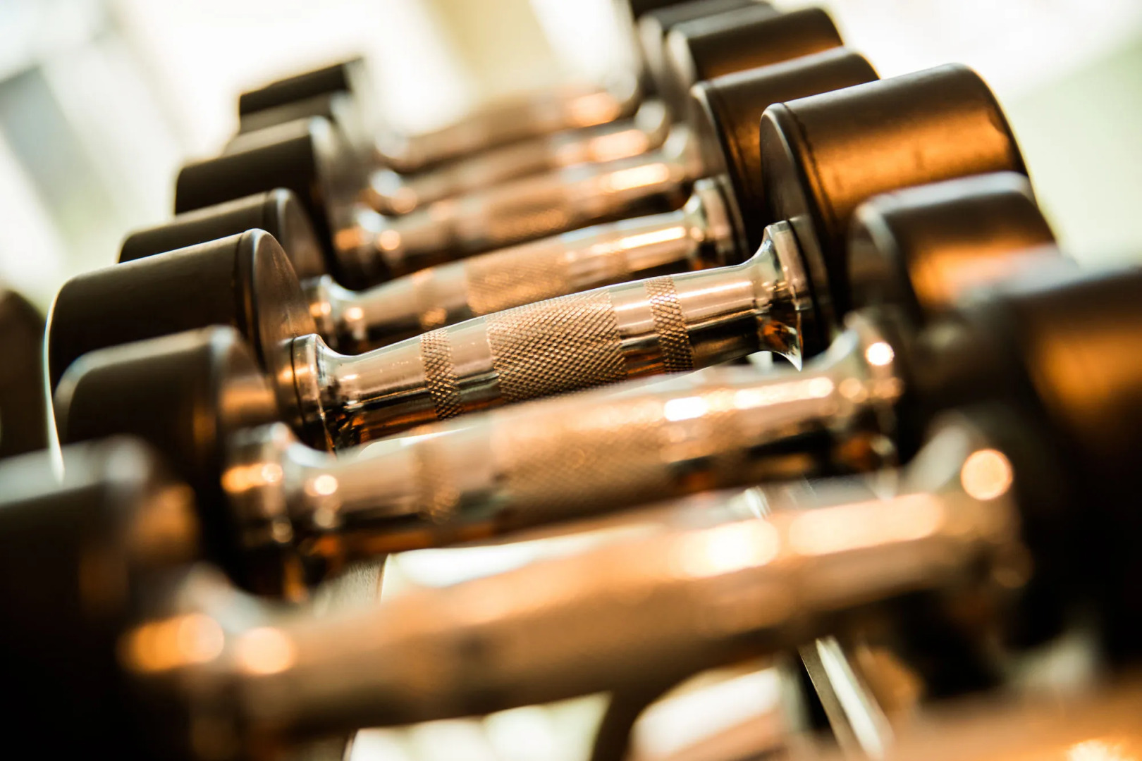 Photo - Oakwood Residence Kapil Hyderabad