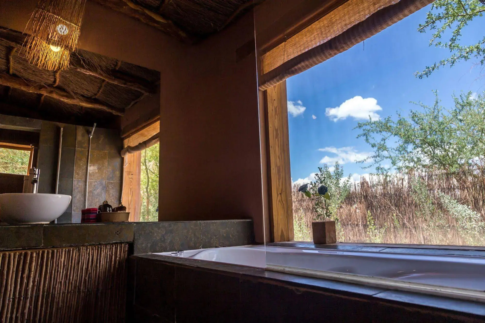 Photo - Eco-Lodge El Andinista