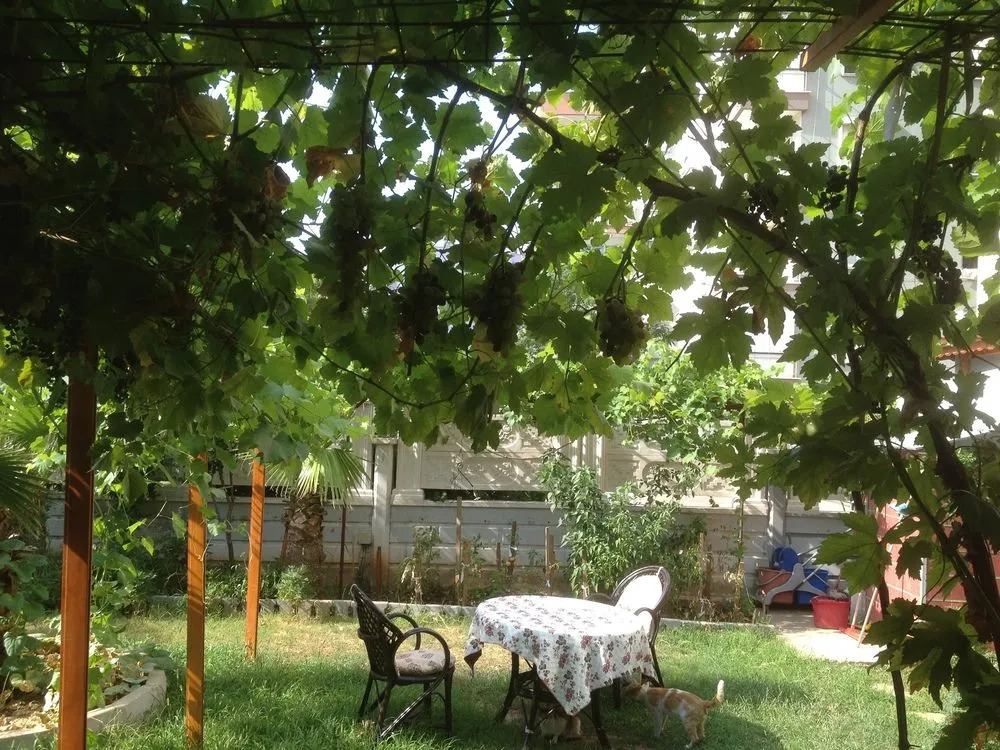 Foto - Bayındır Palme Hotel