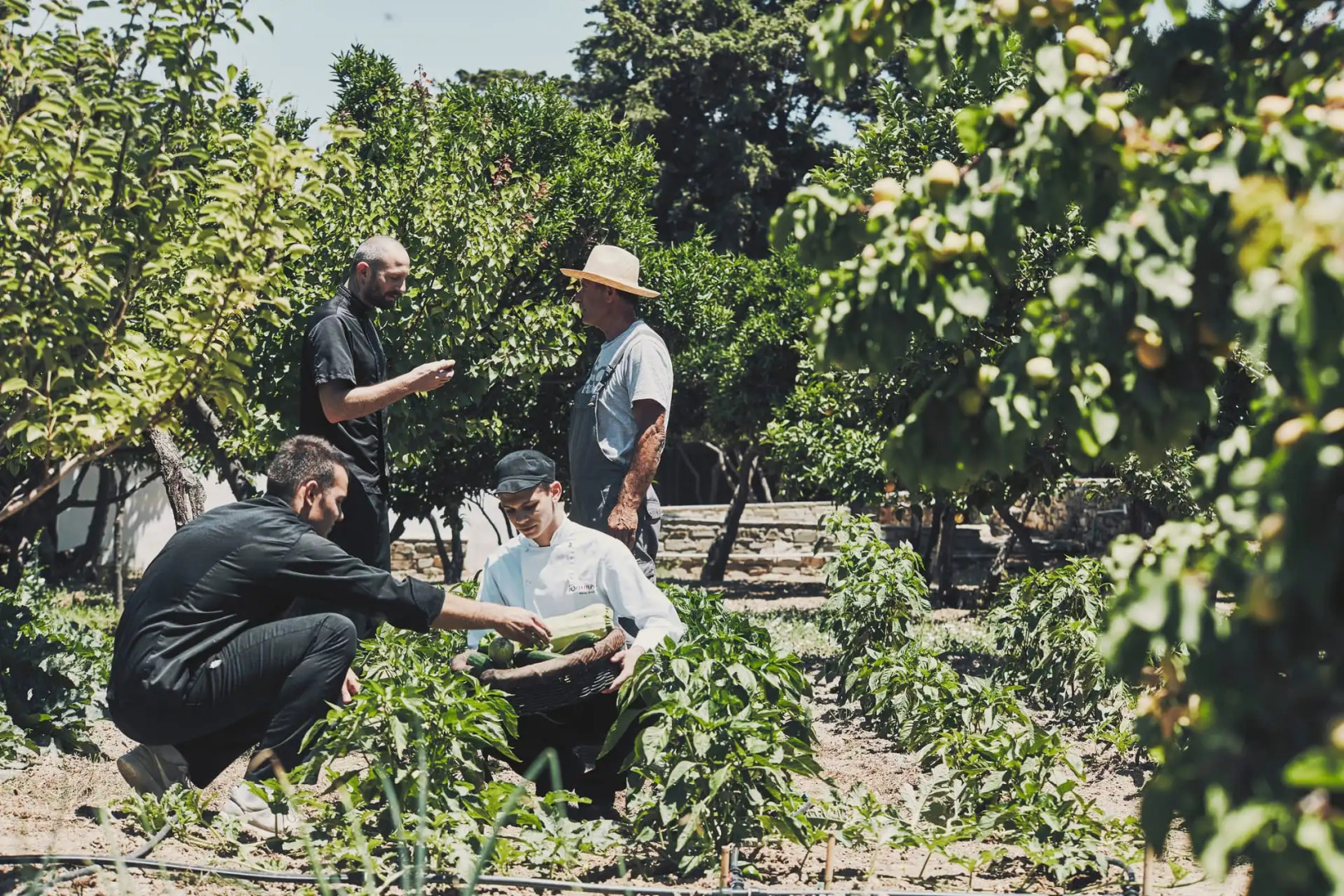 Foto - Yria Island Boutique Hotel & Spa