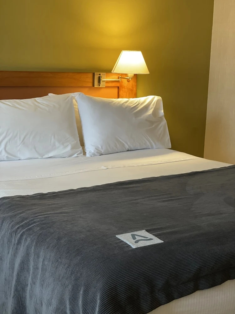 Photo - Hotel Almasur Express Punta Arenas