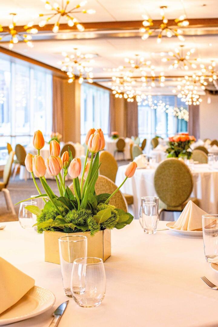 Photo - Sable At Navy Pier Chicago, Curio Collection By Hilton