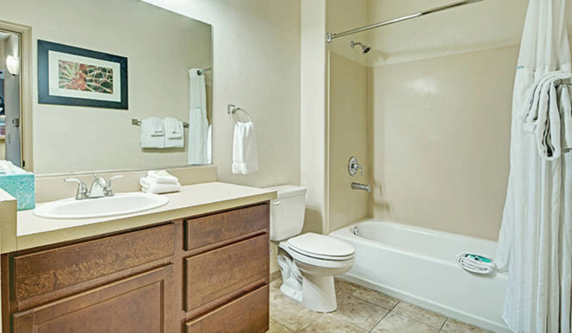 Foto - Raintree at Phoenix South Mountain Preserve