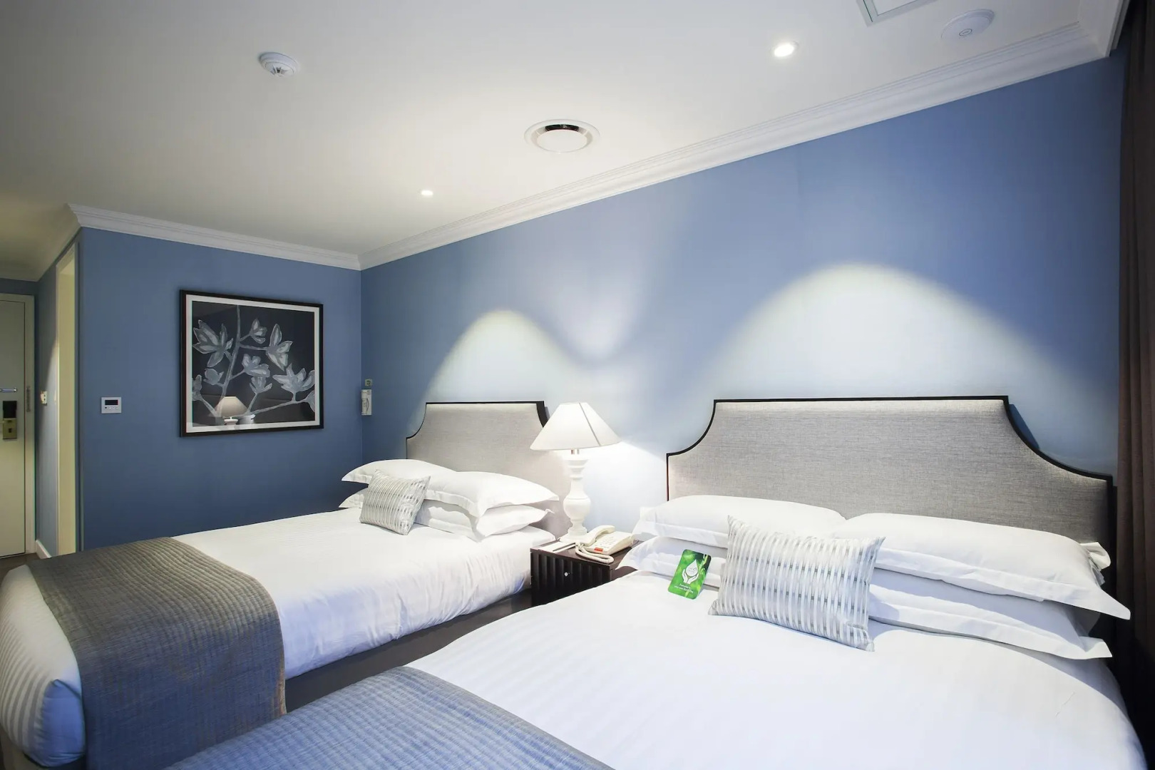 Photo - K9 Myeongdong Hotel