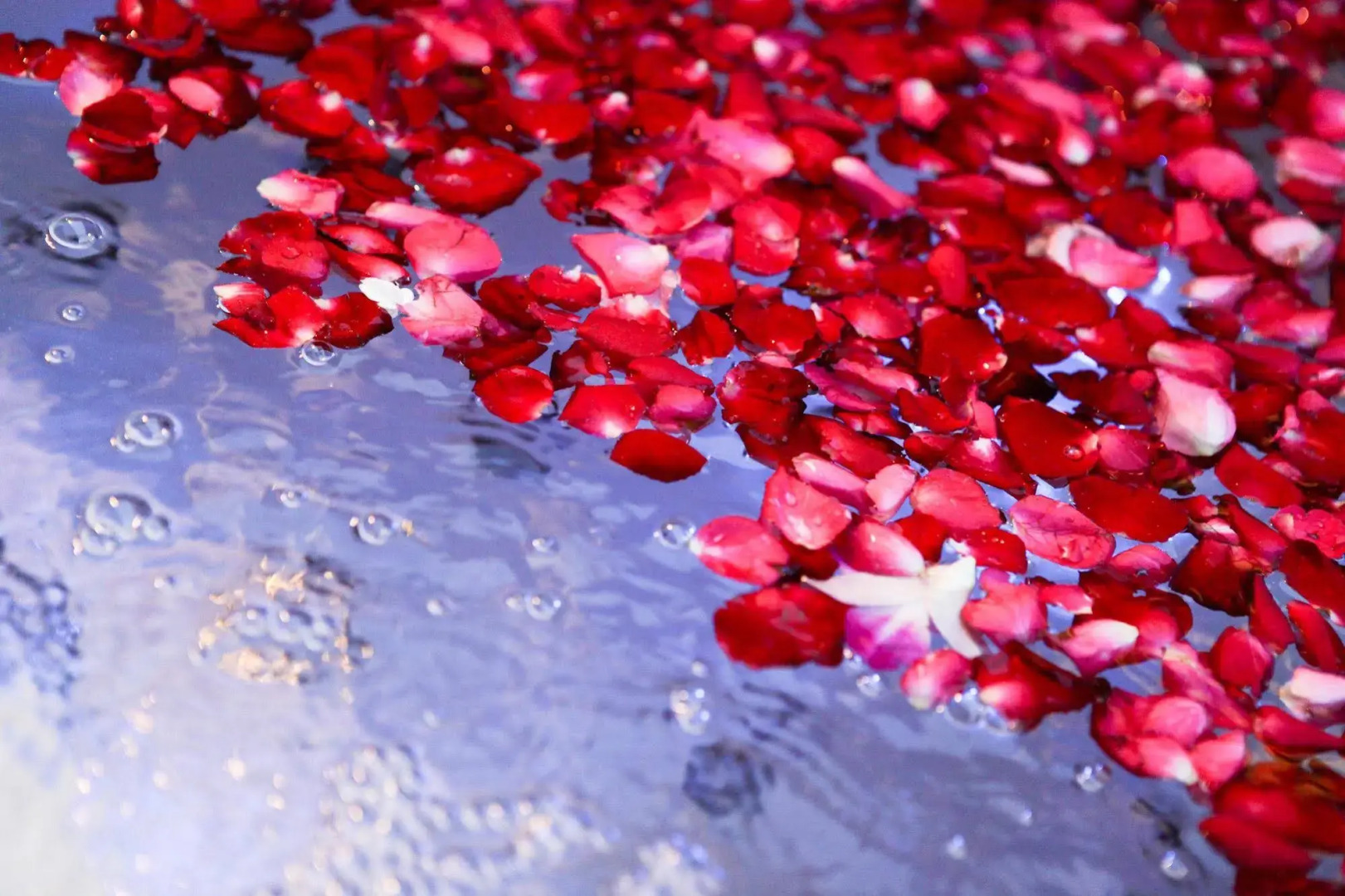 Foto - Singha Montra Lanna Boutique Style Hotel