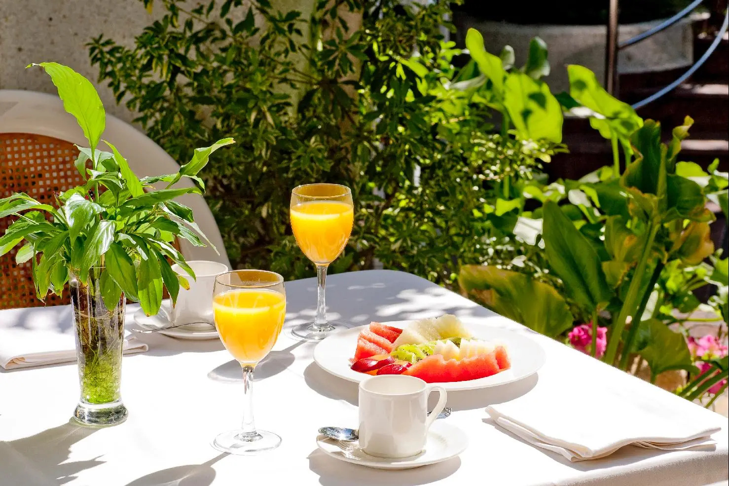 Foto - VP Jardín de Tres Cantos