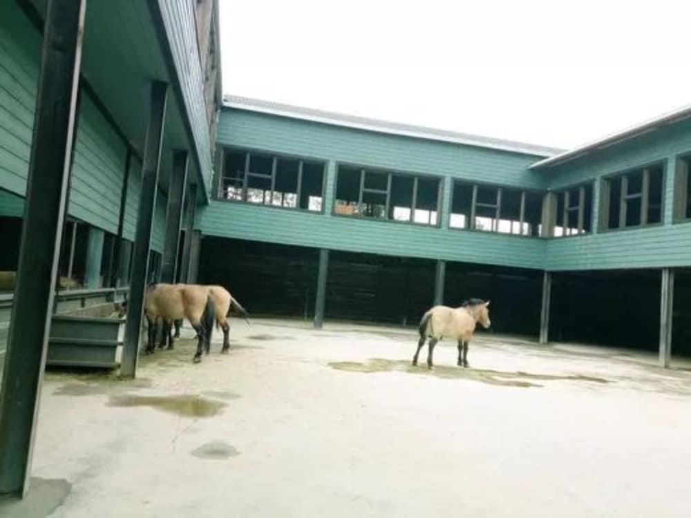 Yema Silk Road Inn