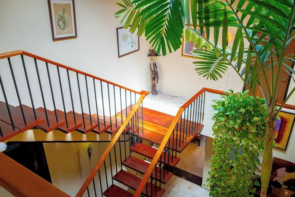 Foto - Casa Orquídea Panamá