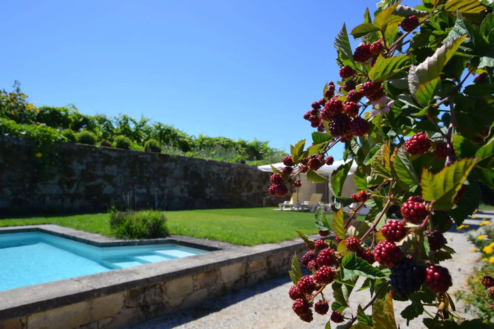 Foto - Quinta Da Agra