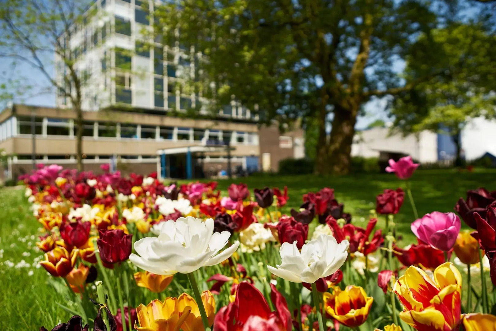 Foto - Pension Homeland