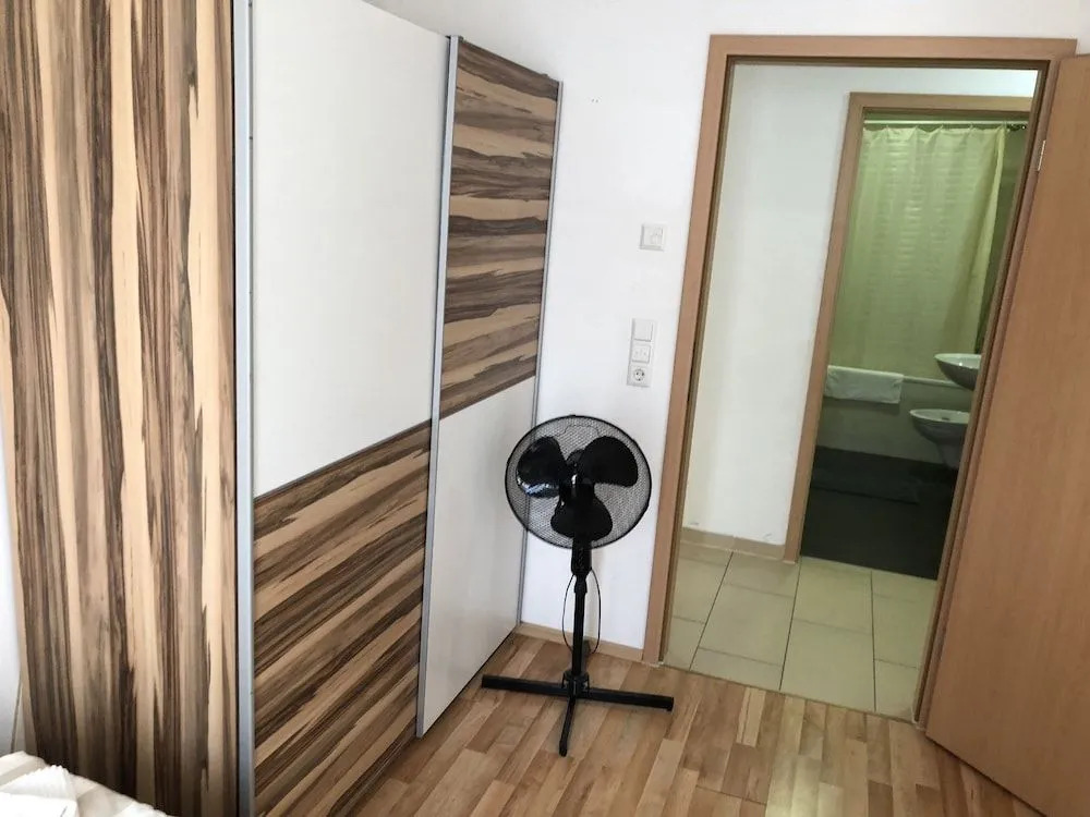 Photo - Sahara Falcon