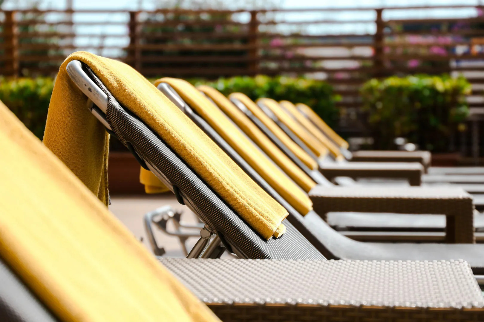 Foto - KAKTUS Hotel Volga