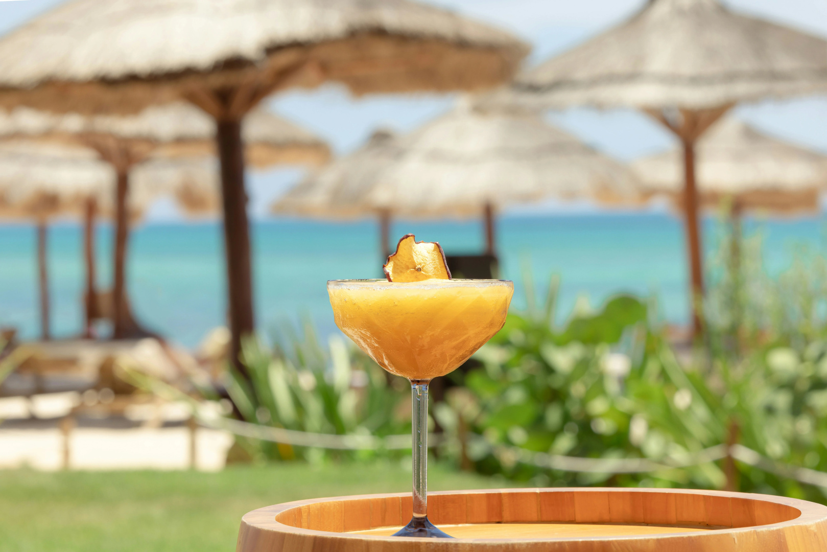 Photo - JOIA Paraiso by Iberostar - Adults Only All Inclusive Resort