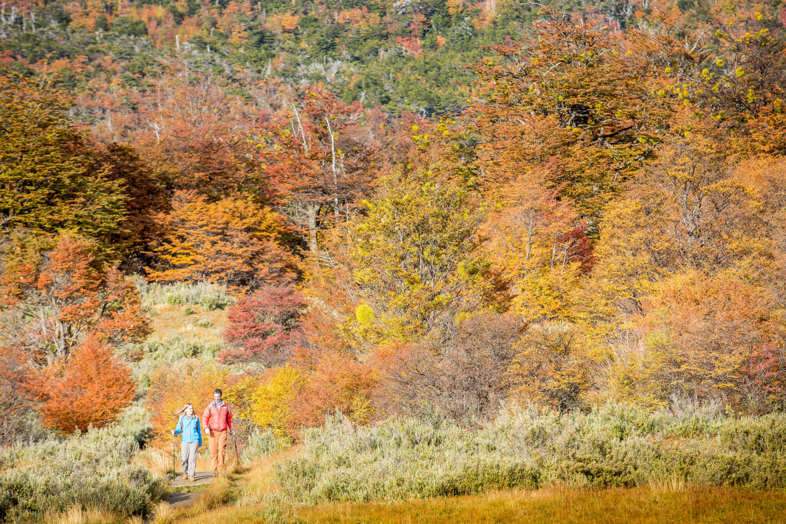 Photo - Los Cauquenes Resort + Spa + Experiences