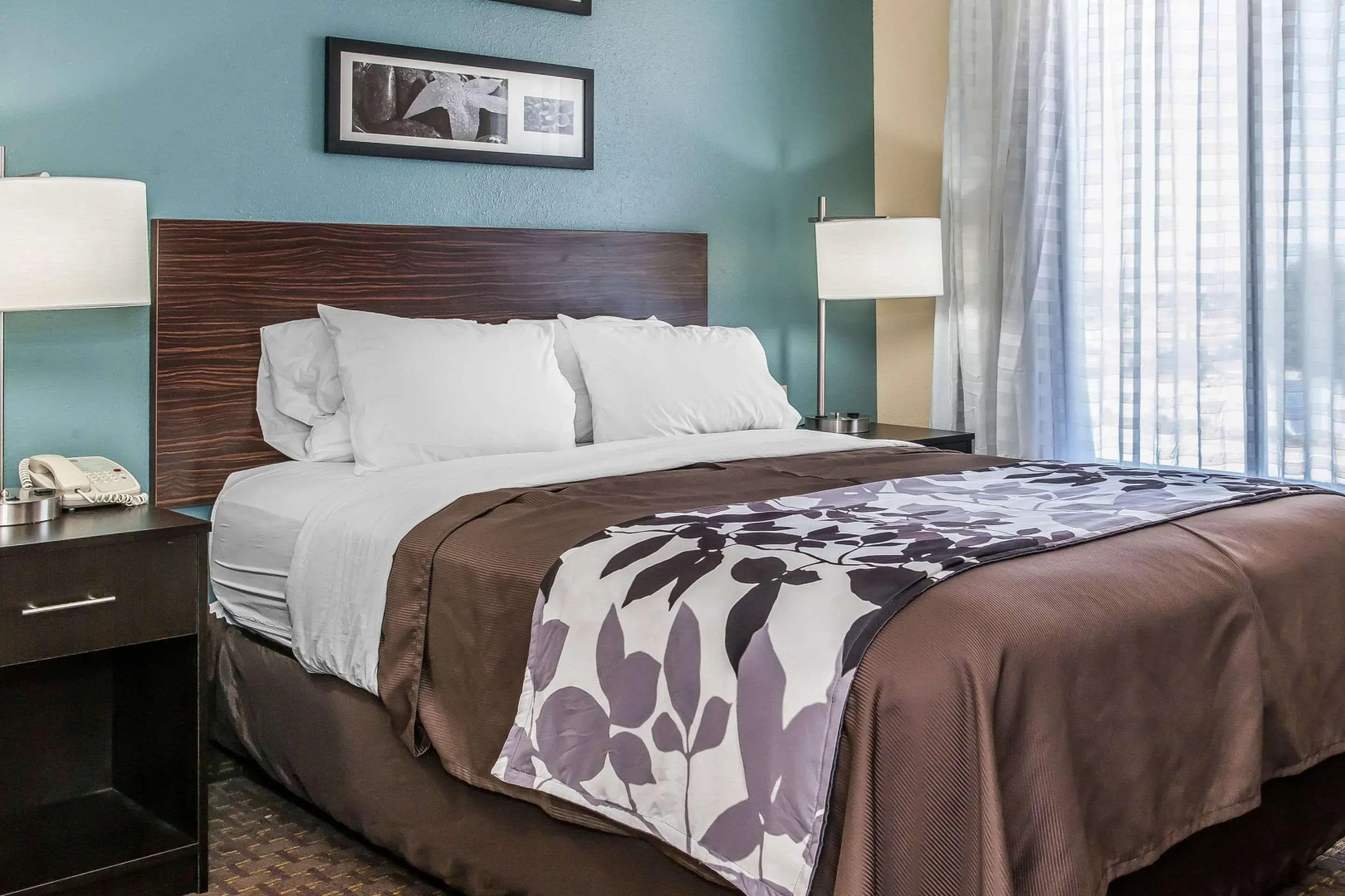 Photo - Sleep Inn Springfield West