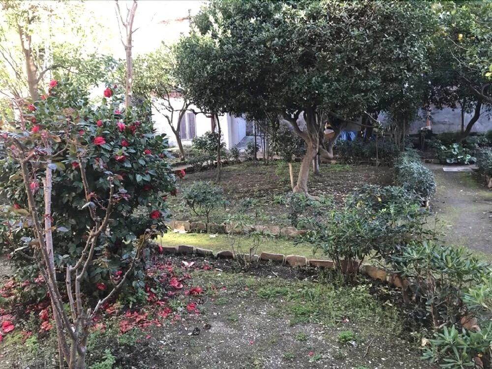 Foto - Il Giardino Di Vico Neve