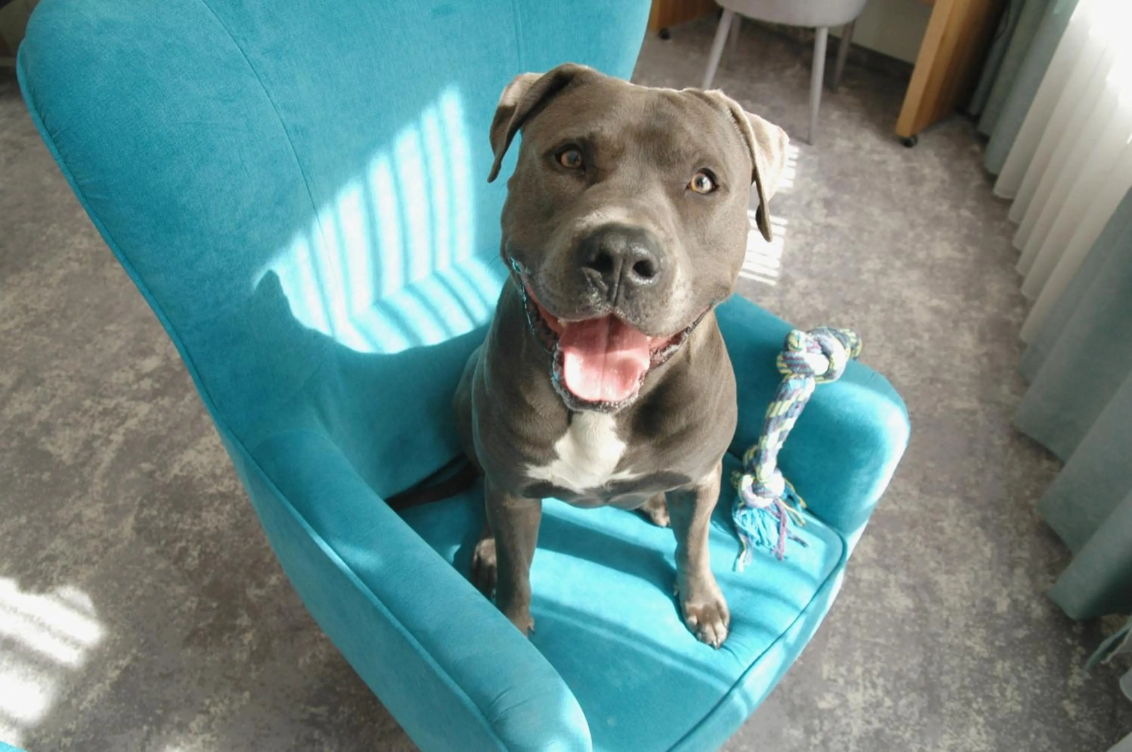 Foto - Tulip Hotels - Wroclaw Patio