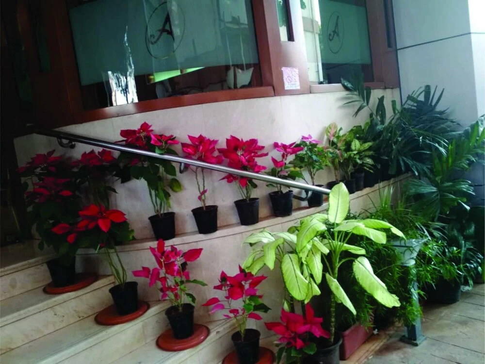 Foto - Hotel Archana Residency