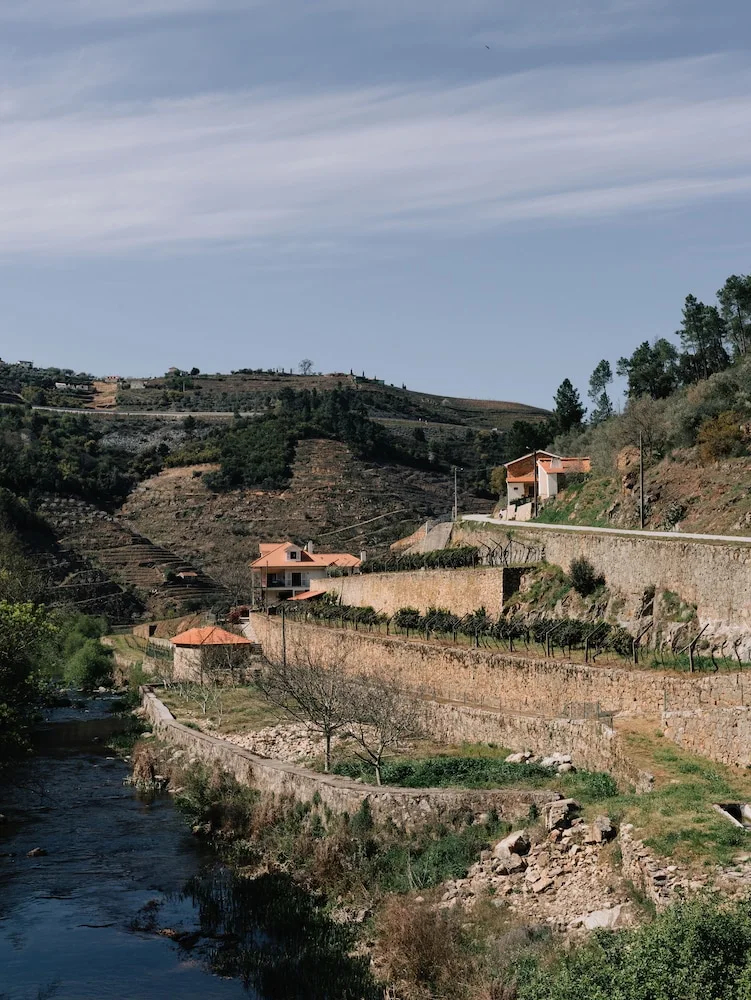 Foto - Quinta de Recião