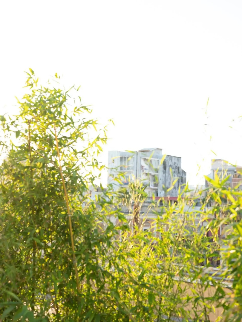 Photo - Imago Plus Hotel