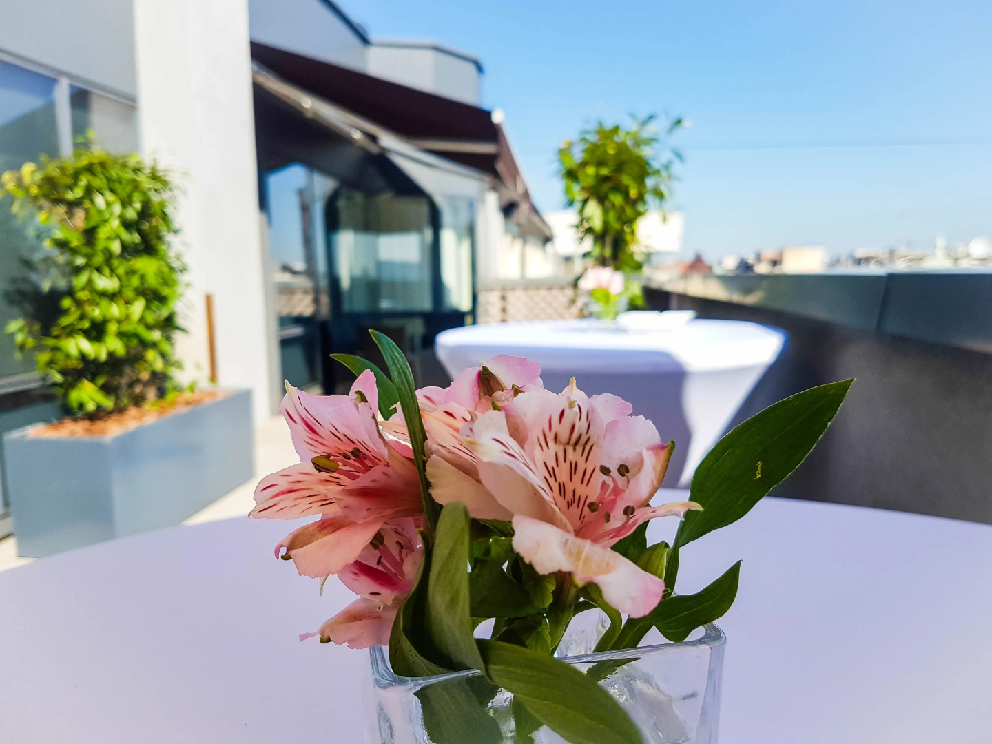 Photo - Belgrade Art Hotel, a member of Radisson Individuals