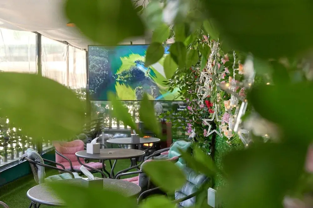Foto - Snowflower Guesthouse