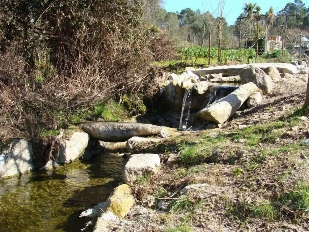 Foto - Casa De Igarei