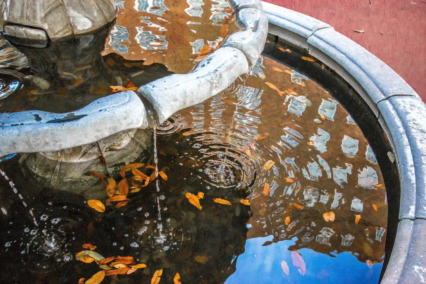 Photo - Warwick Melrose Hotel