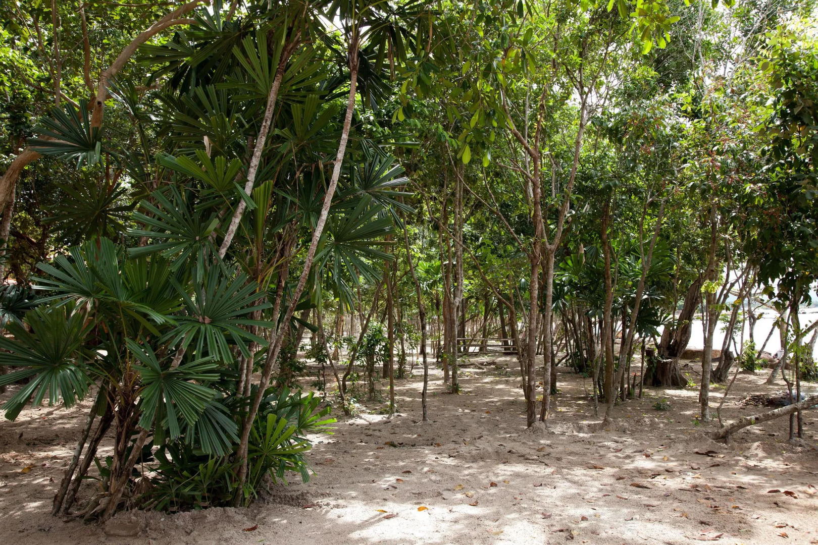 Photo - Green Bay Phu Quoc Resort & Spa